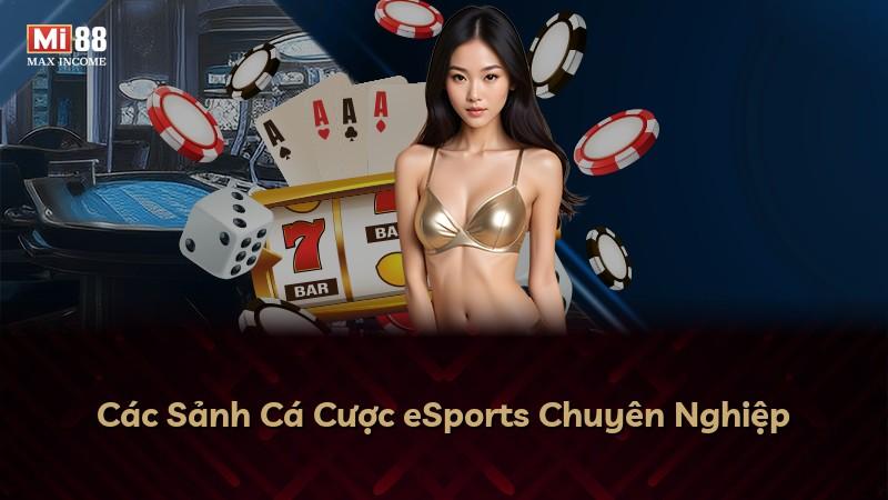 Các Sảnh Cá Cược eSports Chuyên Nghiệp