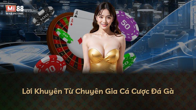 Lời Khuyên Từ Chuyên Gia Cá Cược Đá Gà