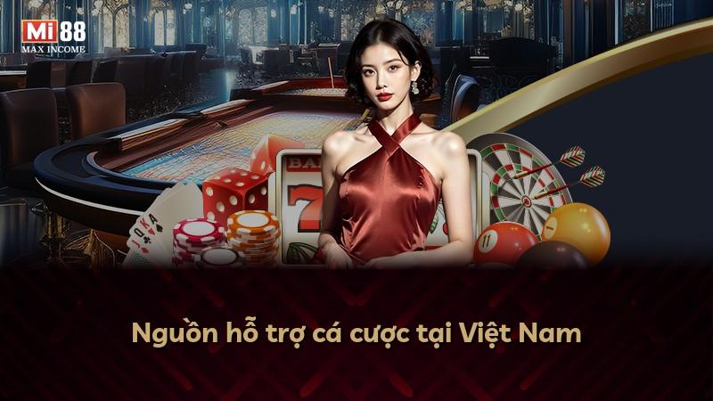 Nguồn hỗ trợ cá cược tại Việt Nam