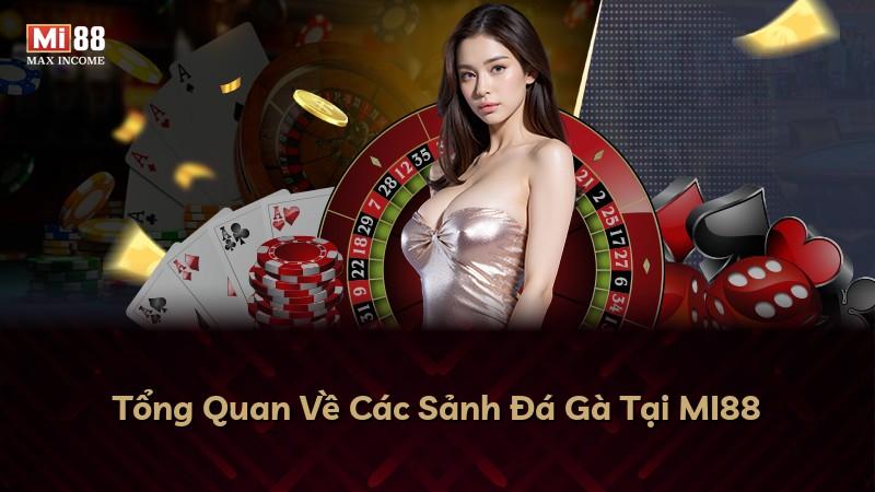 Tổng Quan Về Các Sảnh Đá Gà Tại MI88